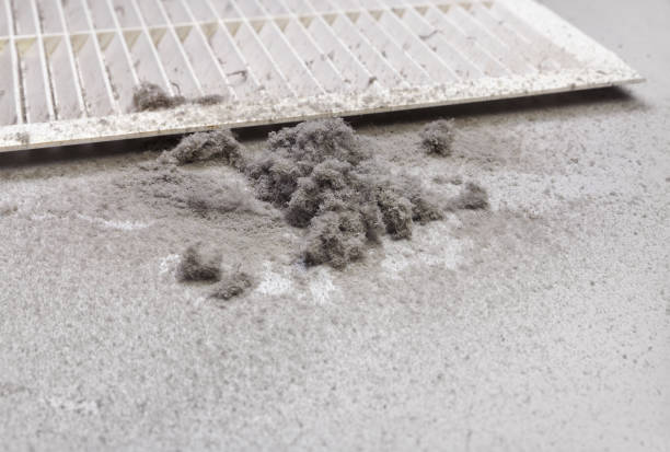 Best Affordable HVAC Duct Cleaning  in Raymond, MS
